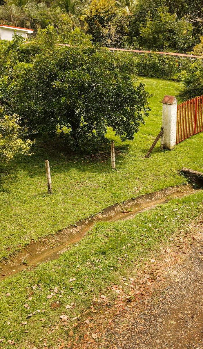 The Fruit Tree Lot: Flat 3,505 m² Residential Land in Coyolar, Orotina