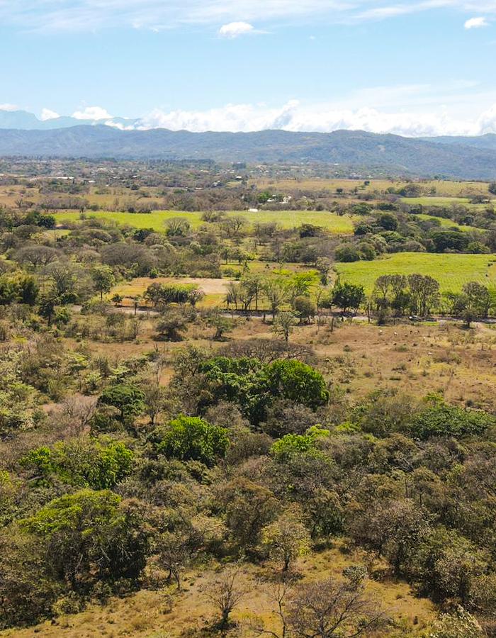 Premium 4.7-Hectare Mixed-Use & Industrial Development Land in El Coyol, Alajuela