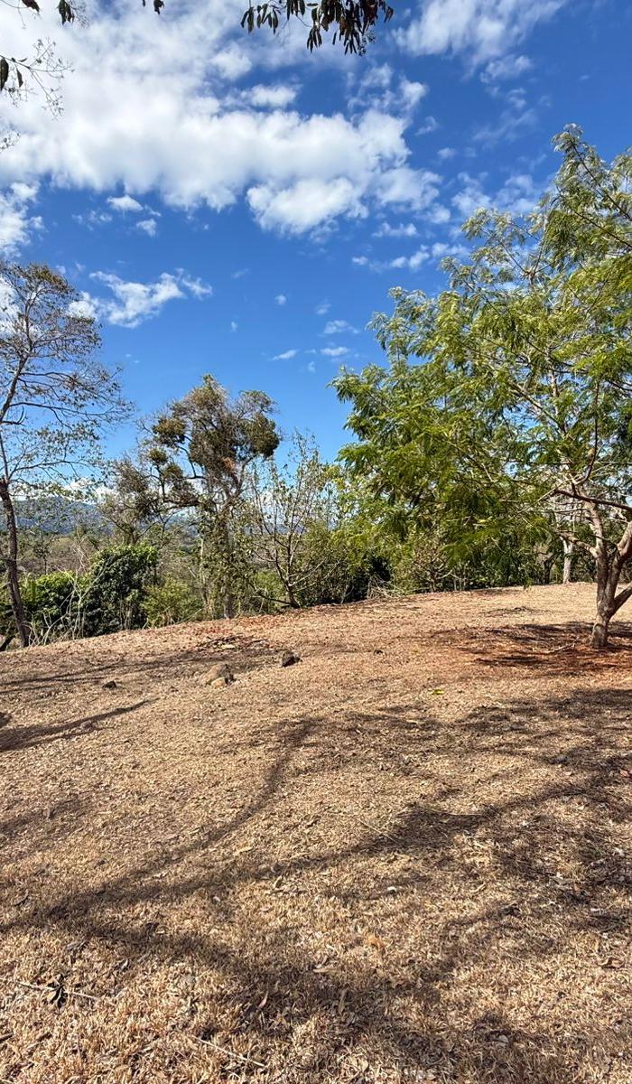 One-Hectare Opportunity with Fruit Trees in Bajamar, Lagunillas de Garabito