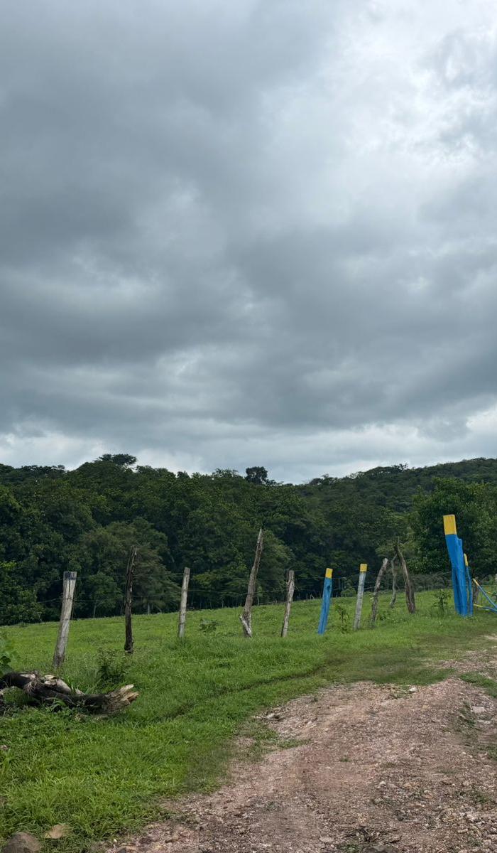 12-Hectare Farm with Camper in Chomes, Puntarenas